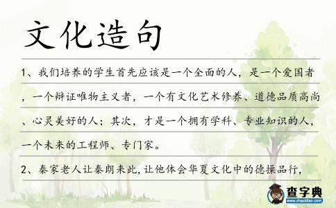 文化造句