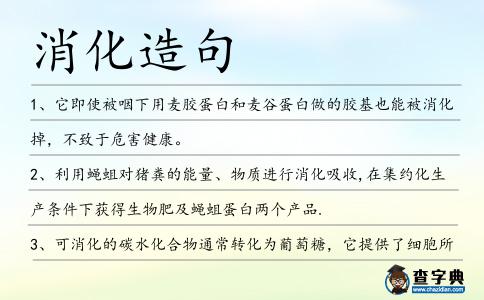 消化造句