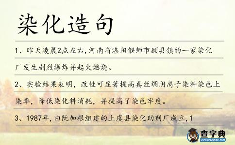 染化造句
