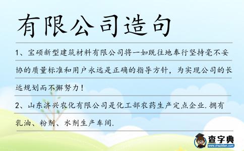 有限公司造句