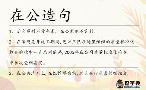 在公造句