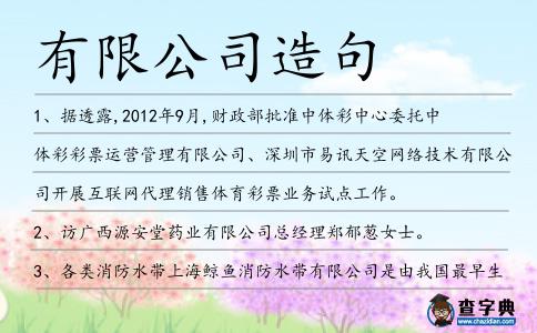 有限公司造句