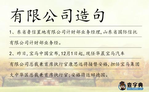 有限公司造句