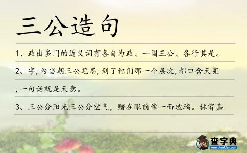 三公造句