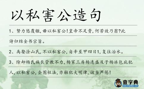 以私害公造句