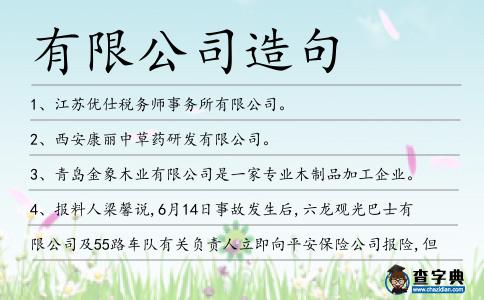 有限公司造句