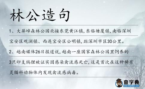 林公造句