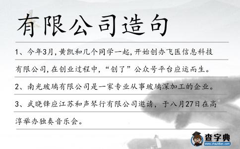 有限公司造句
