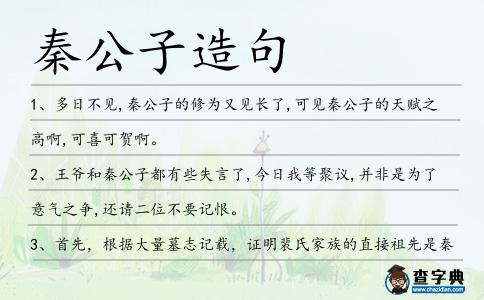 秦公子造句