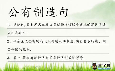 公有制造句