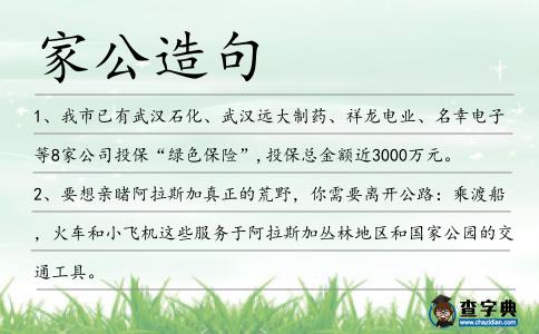 家公造句
