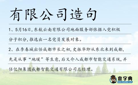有限公司造句