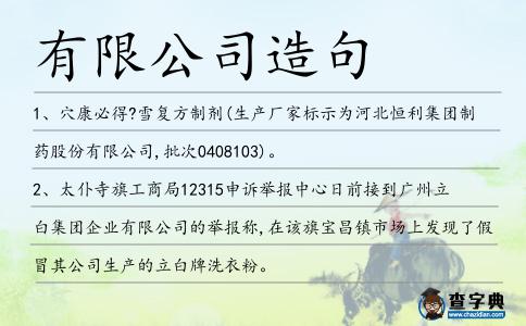 有限公司造句