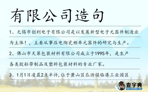 有限公司造句