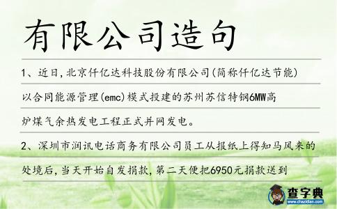 有限公司造句