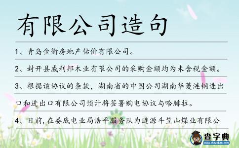 有限公司造句