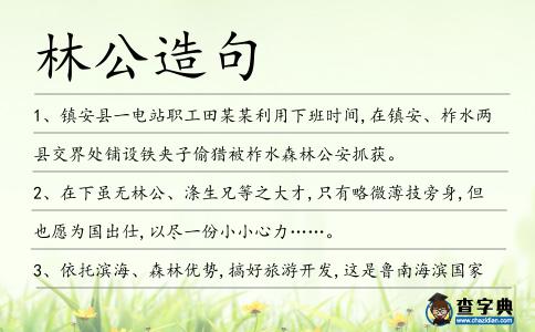 林公造句