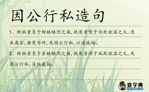 因公行私造句