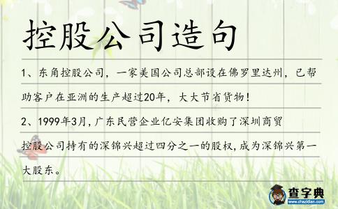 控股公司造句