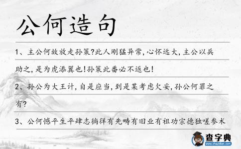 公何造句