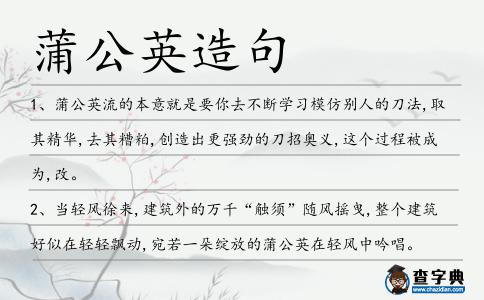 蒲公英造句