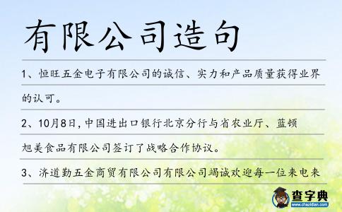 有限公司造句
