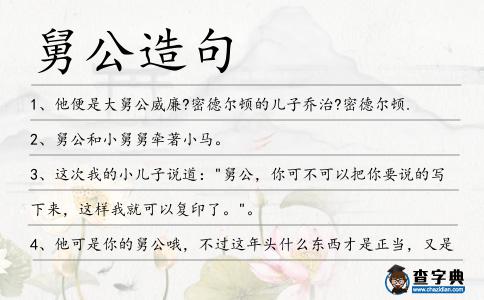舅公造句