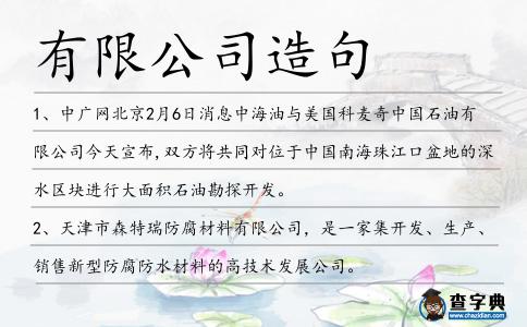 有限公司造句