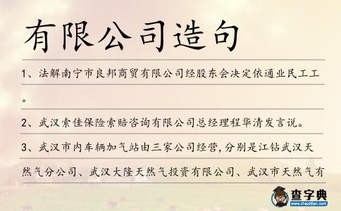 有限公司造句