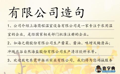 有限公司造句