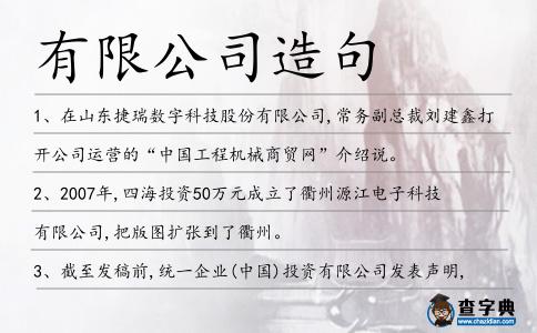 有限公司造句