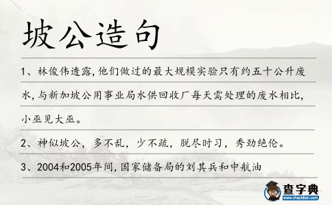 坡公造句