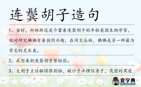 連鬢胡子造句