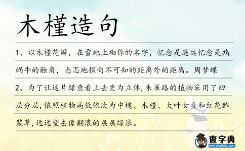 木槿造句