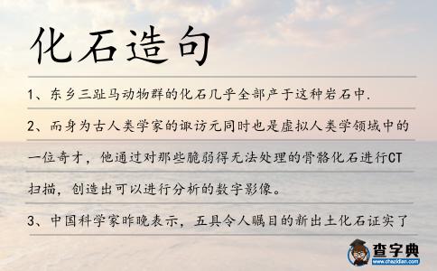 化石造句