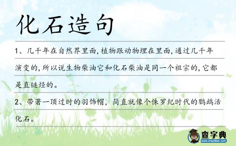 化石造句