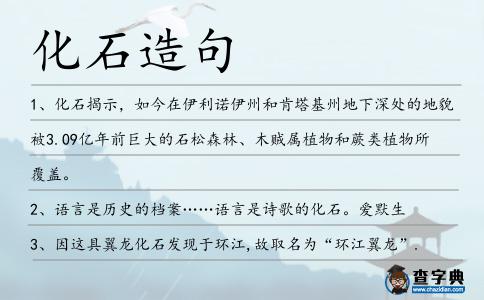 化石造句