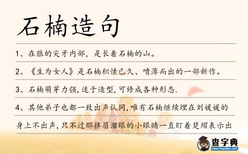 石楠造句