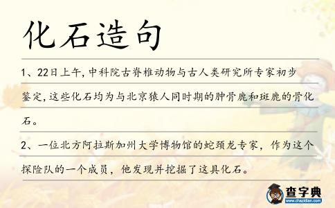 化石造句