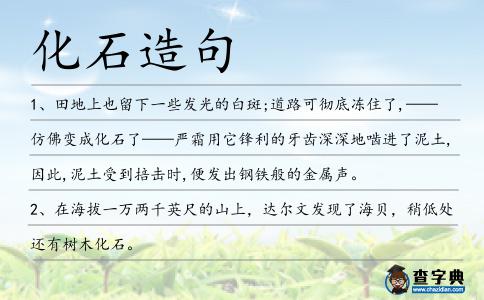 化石造句