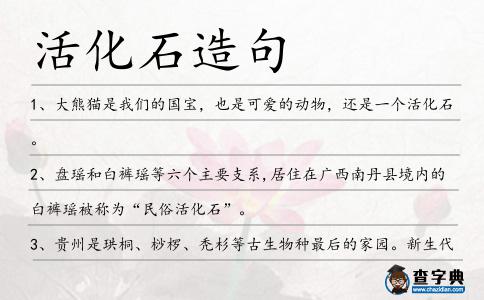 活化石造句