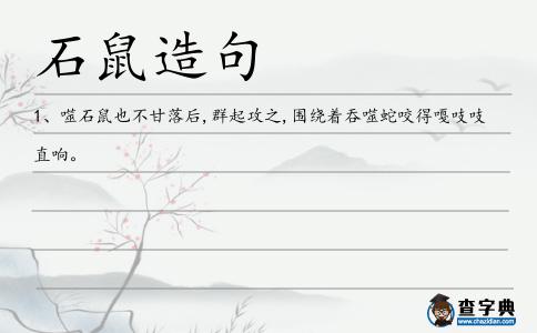 石鼠造句
