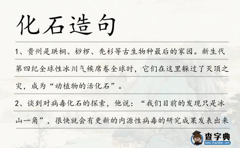 化石造句