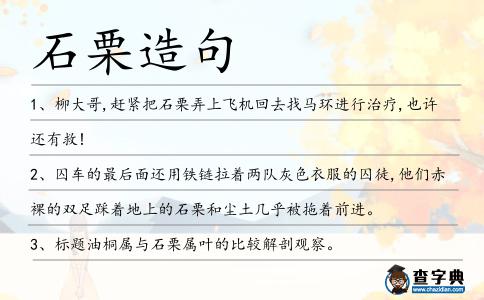 石栗造句