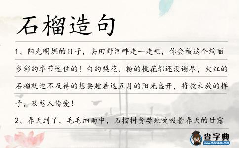 石榴造句