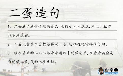二蛋造句