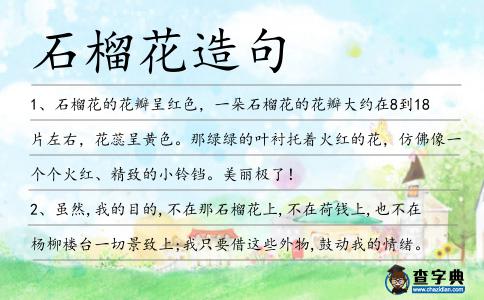石榴花造句