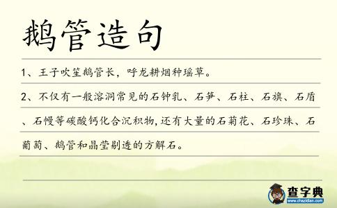 鵝管造句