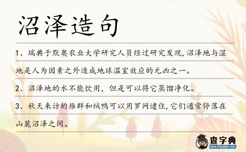 沼澤造句