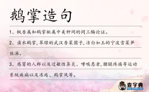 鵝掌造句